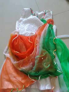 Tricolor Festive Dress