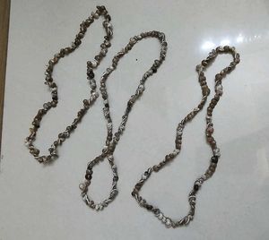 Seashell Necklace