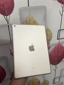 iPad 5th Generation Wi-Fi Only 32 Gb
