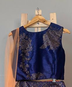 Blue Embellished Lehenga Choli