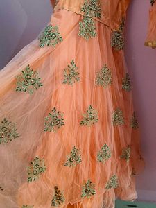 Net Embroidered Gown.