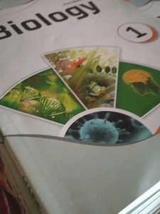 Allen institute modules