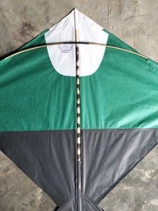 50 Kite Different Colours