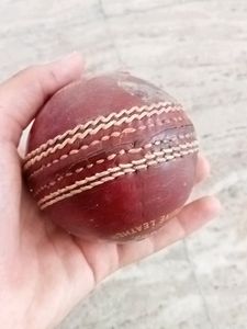 Leather Ball Cricket Bal