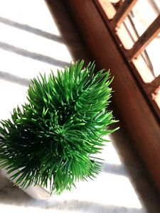 Artificial Plants With Pot