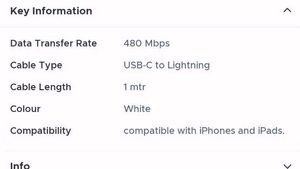 White iphone - c type charger