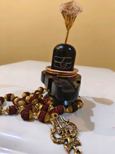 Black Marble Shivling Kashi Vishwanath Banaras
