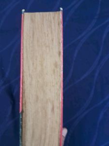 Webster New Dictionary And Thesaurus