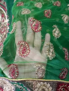 beautiful net saree with blouse