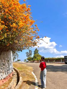 SAVANA Cable Knit Cardigan