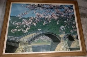 Spring Scenery 🌷🦋