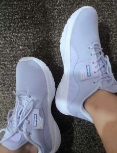 Shoe