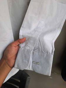 Basic Off White Shirt