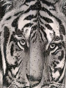 3D Tiger Print Top