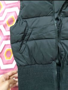 Sisley Sleeves Puffer Jacket