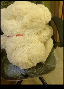 💯✨💕 Beautiful Teddy 🧸 Bear 🧸 Today Sale Do You