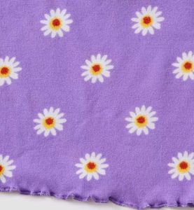 Daisy Print Crop Top