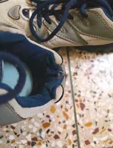 Sparx Shoes,  Size : 08
