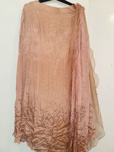 Elegant Peach Saree
