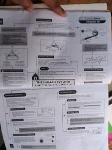 Educart Science Sample Paper Class 10