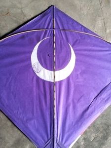 50 Kite Different Colours
