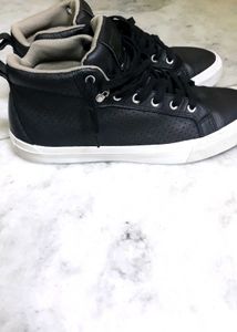 Converse Sneakers