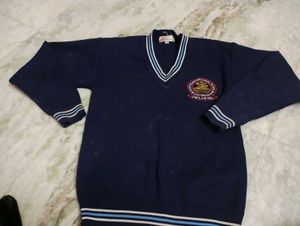 Navy Blue V-Neck Sweater