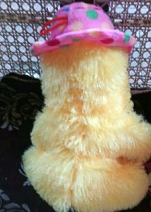 Colorful Soft Teddy Bear