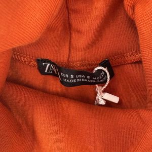 Zara Turtleneck Fitted Dress