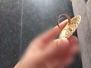 the ring is too beautiful ❤️and tha nose pin wow😍