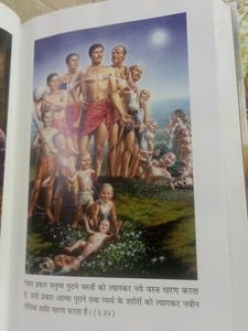 Hindi Bhagavadgita As It Is
