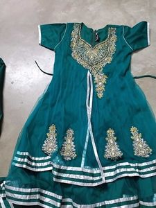 Elegant Green &amp; Silver Anarkali
