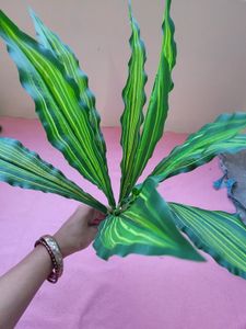 Leaf Bunches