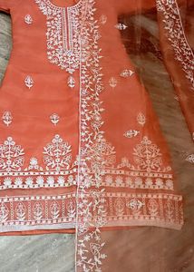 New Stitched Pakistani Suit (Organza Fabric)