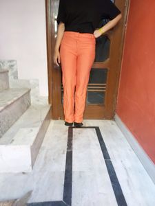 Pant