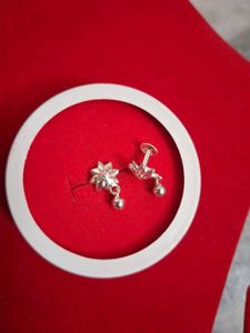 Silver Earrings
