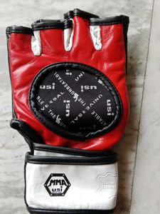 MMA Gloves
