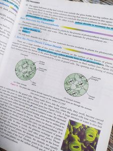 Tenth Class Books (Physics, Chemistry, Biology)