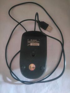 Mouse