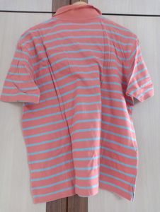 Xl Colour Plus Branded T Shirt