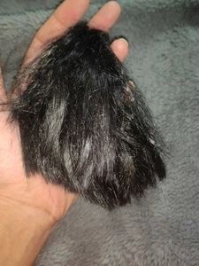 Doll Head