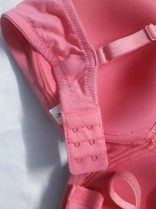 Zivame padded bra