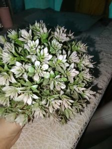 Artificial Plant Decor
