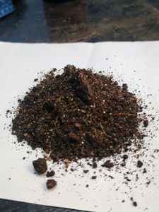 Succulent Pot Mix 250 grams