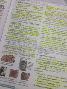 ICSE Revised Concise Biology Class 9