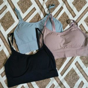 Set Of 3 Padded Tshirt Bra