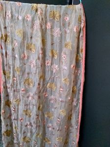 Party Wear Transparent Duppata For Donation