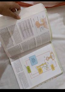 Medical Physiology Textbook