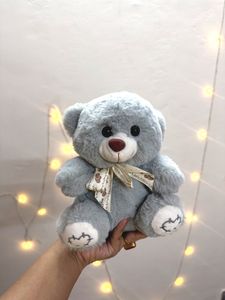 Plush Teddy Bear