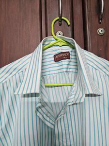 Striped Shirt